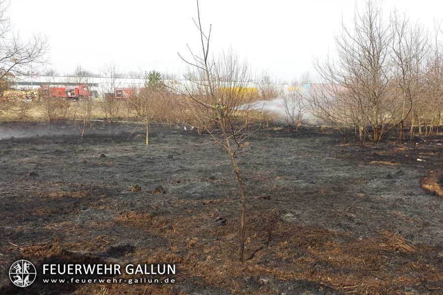 Einsatz 14-2015